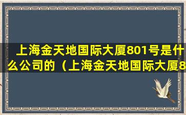 上海金天地国际大厦801号是什么公司的（上海金天地国际大厦801号是什么公司的电话）