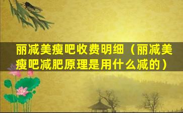 丽减美瘦吧收费明细（丽减美瘦吧减肥原理是用什么减的）