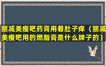 丽减美瘦吧药膏用着肚子痒（丽减美瘦吧用的燃脂膏是什么牌子的）