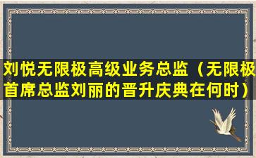 刘悦无限极高级业务总监（无限极首席总监刘丽的晋升庆典在何时）