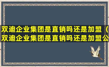 双迪企业集团是直销吗还是加盟（双迪企业集团是直销吗还是加盟公司）