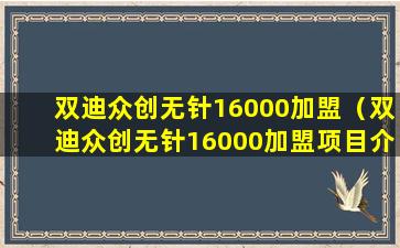 双迪众创无针16000加盟（双迪众创无针16000加盟项目介绍）