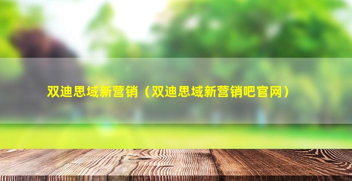 双迪思域新营销（双迪思域新营销吧官网）