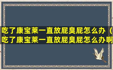 吃了康宝莱一直放屁臭屁怎么办（吃了康宝莱一直放屁臭屁怎么办啊）