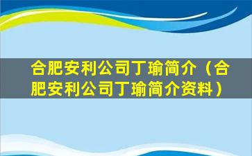 合肥安利公司丁瑜简介（合肥安利公司丁瑜简介资料）