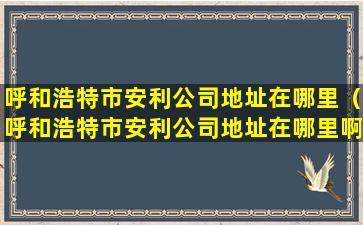 呼和浩特市安利公司地址在哪里（呼和浩特市安利公司地址在哪里啊）