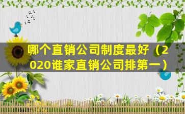 哪个直销公司制度最好（2020谁家直销公司排第一）