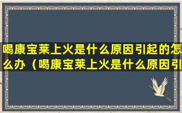 喝康宝莱上火是什么原因引起的怎么办（喝康宝莱上火是什么原因引起的怎么办呢）