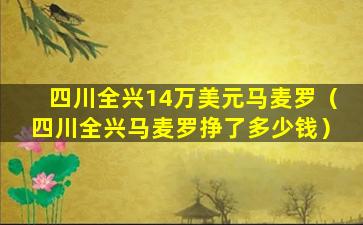 四川全兴14万美元马麦罗（四川全兴马麦罗挣了多少钱）