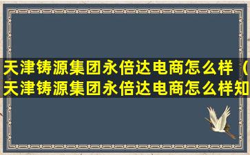 天津铸源集团永倍达电商怎么样（天津铸源集团永倍达电商怎么样知乎）