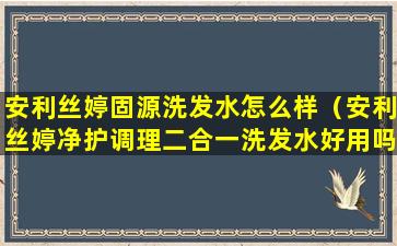 安利丝婷固源洗发水怎么样（安利丝婷净护调理二合一洗发水好用吗）