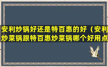 安利炒锅好还是特百惠的好（安利炒菜锅跟特百惠炒菜锅哪个好用点）