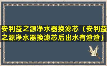 安利益之源净水器换滤芯（安利益之源净水器换滤芯后出水有渣渣）