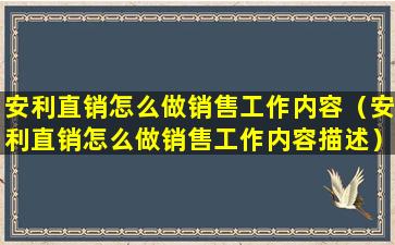 安利直销怎么做销售工作内容（安利直销怎么做销售工作内容描述）