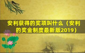 安利获得的奖项叫什么（安利的奖金制度最新版2019）