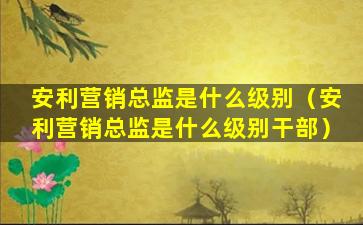 安利营销总监是什么级别（安利营销总监是什么级别干部）