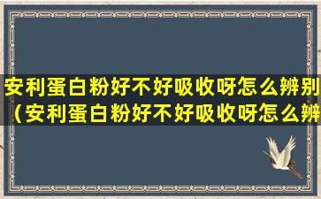 安利蛋白粉好不好吸收呀怎么辨别（安利蛋白粉好不好吸收呀怎么辨别真伪）