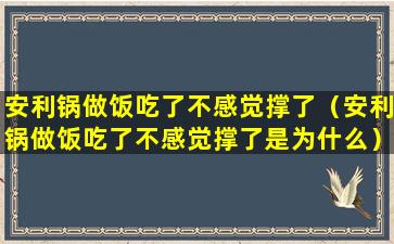 安利锅做饭吃了不感觉撑了（安利锅做饭吃了不感觉撑了是为什么）