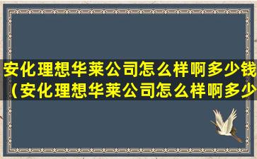 安化理想华莱公司怎么样啊多少钱（安化理想华莱公司怎么样啊多少钱一小时）