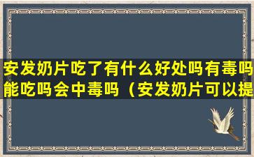 安发奶片吃了有什么好处吗有毒吗能吃吗会中毒吗（安发奶片可以提高免疫力吗）