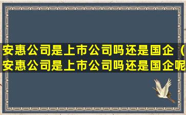 安惠公司是上市公司吗还是国企（安惠公司是上市公司吗还是国企呢）