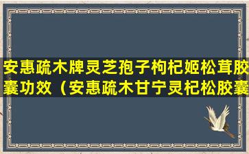 安惠疏木牌灵芝孢子枸杞姬松茸胶囊功效（安惠疏木甘宁灵杞松胶囊功效）