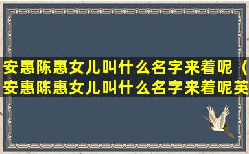 安惠陈惠女儿叫什么名字来着呢（安惠陈惠女儿叫什么名字来着呢英文）