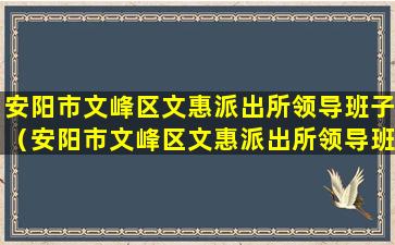 安阳市文峰区文惠派出所领导班子（安阳市文峰区文惠派出所领导班子名单）