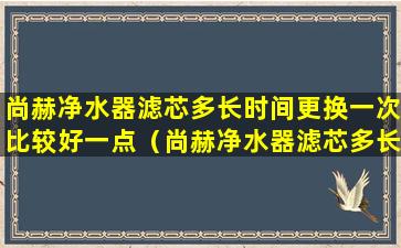 尚赫净水器滤芯多长时间更换一次比较好一点（尚赫净水器滤芯多长时间更换一次）