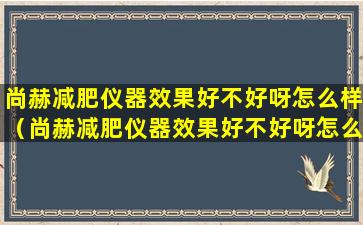 尚赫减肥仪器效果好不好呀怎么样（尚赫减肥仪器效果好不好呀怎么样知乎）