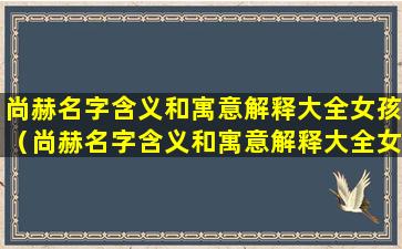 尚赫名字含义和寓意解释大全女孩（尚赫名字含义和寓意解释大全女孩子）