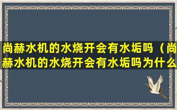 尚赫水机的水烧开会有水垢吗（尚赫水机的水烧开会有水垢吗为什么）