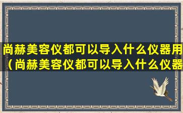 尚赫美容仪都可以导入什么仪器用（尚赫美容仪都可以导入什么仪器用的）