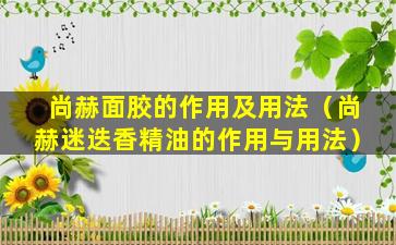 尚赫面胶的作用及用法（尚赫迷迭香精油的作用与用法）