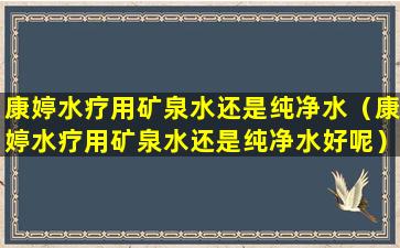 康婷水疗用矿泉水还是纯净水（康婷水疗用矿泉水还是纯净水好呢）