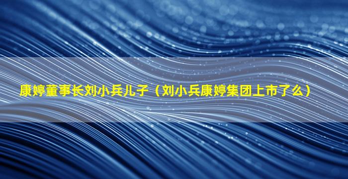 康婷董事长刘小兵儿子（刘小兵康婷集团上市了么）