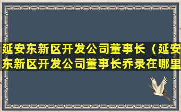 延安东新区开发公司董事长（延安东新区开发公司董事长乔录在哪里干过）