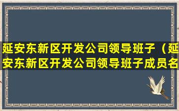 延安东新区开发公司领导班子（延安东新区开发公司领导班子成员名单）