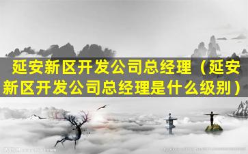 延安新区开发公司总经理（延安新区开发公司总经理是什么级别）