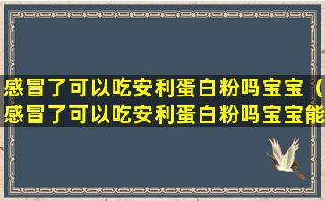 感冒了可以吃安利蛋白粉吗宝宝（感冒了可以吃安利蛋白粉吗宝宝能吃吗）