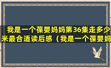 我是一个葆婴妈妈第36集走多少米最合适读后感（我是一个葆婴妈妈读后感2000字）