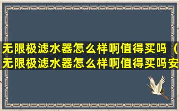 无限极滤水器怎么样啊值得买吗（无限极滤水器怎么样啊值得买吗安全吗）