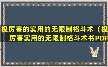 极厉害的实用的无限制格斗术（极厉害实用的无限制格斗术书PDF）