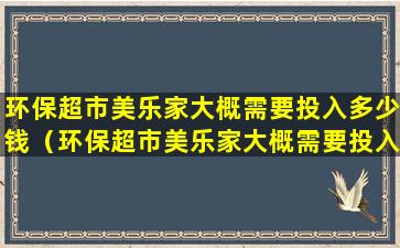 环保超市美乐家大概需要投入多少钱（环保超市美乐家大概需要投入多少钱一年）