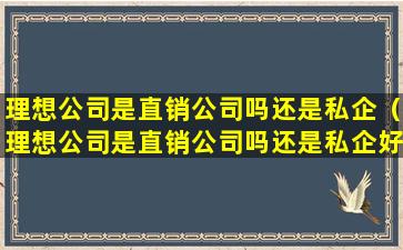 理想公司是直销公司吗还是私企（理想公司是直销公司吗还是私企好）