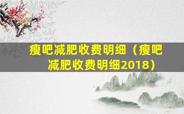 瘦吧减肥收费明细（瘦吧减肥收费明细2018）