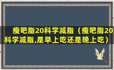 瘦吧脂20科学减脂（瘦吧脂20科学减脂,是早上吃还是晚上吃）