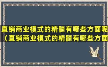 直销商业模式的精髓有哪些方面呢（直销商业模式的精髓有哪些方面呢英语）