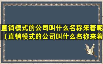 直销模式的公司叫什么名称来着呢（直销模式的公司叫什么名称来着呢英语）