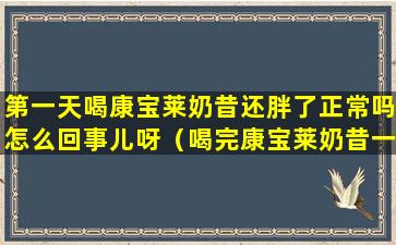 第一天喝康宝莱奶昔还胖了正常吗怎么回事儿呀（喝完康宝莱奶昔一段时间身体有什么变化）